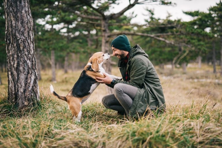 se bedre hund genkende menneskelige farver