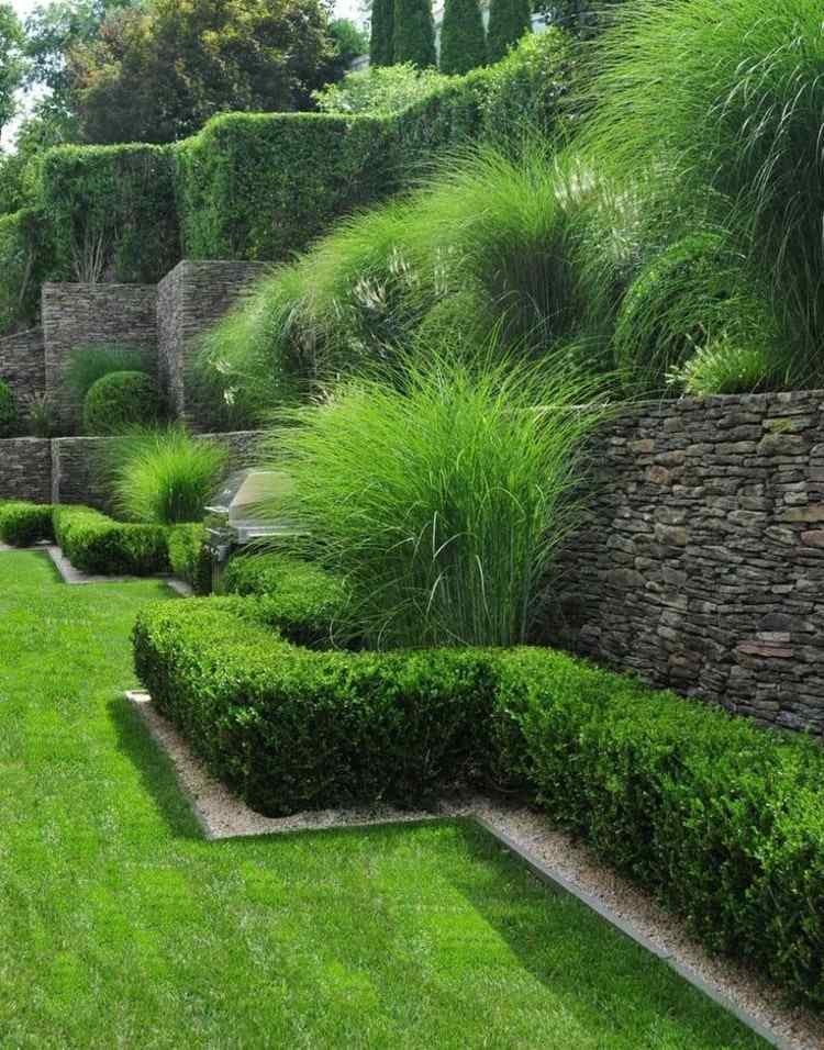 Boxwood kombineres med sarte prydgræsser foran en væg i haven på en bjergskråning