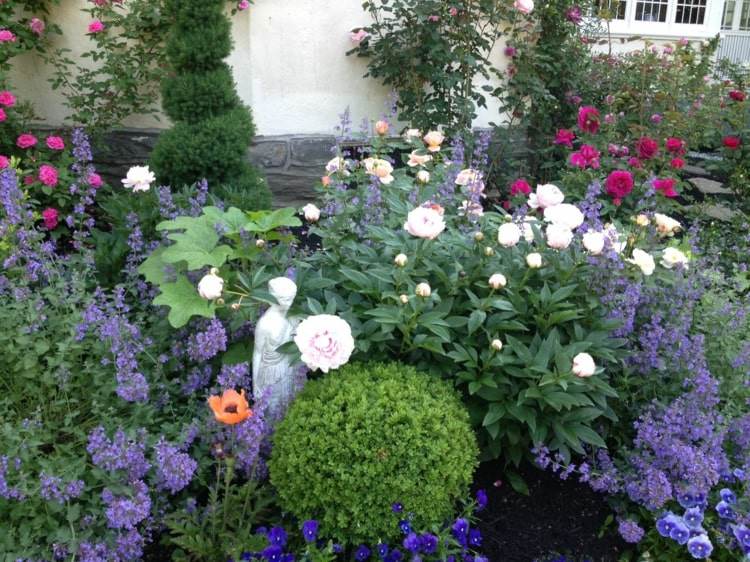 Farverigt blomsterbed med katteurt og pæoner og æske som kugle