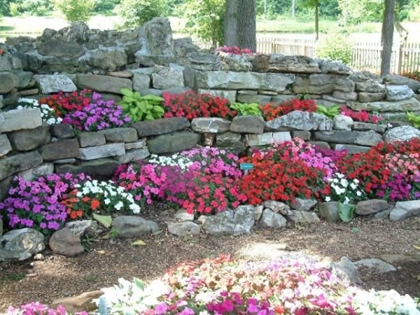 planter til rockery tips vælger en skyggefuld placering