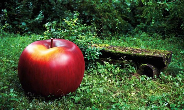 Få haven til at dekorere havefigurer æble stor