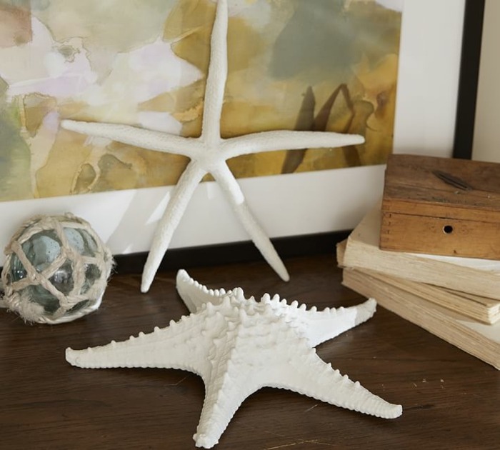 Starfish stue dekoration ideer bringe den strand følelse hjem