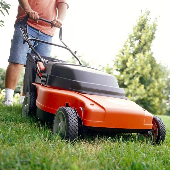 Tips til køb af græsslåmaskine bør være opmærksom på at drive haveområdet