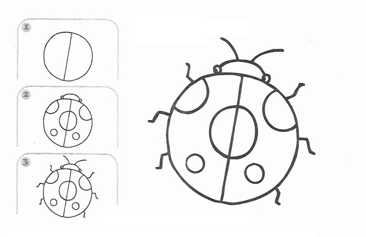 lære at tegne mariehøne-insekt-begynder-cirkel-punkter