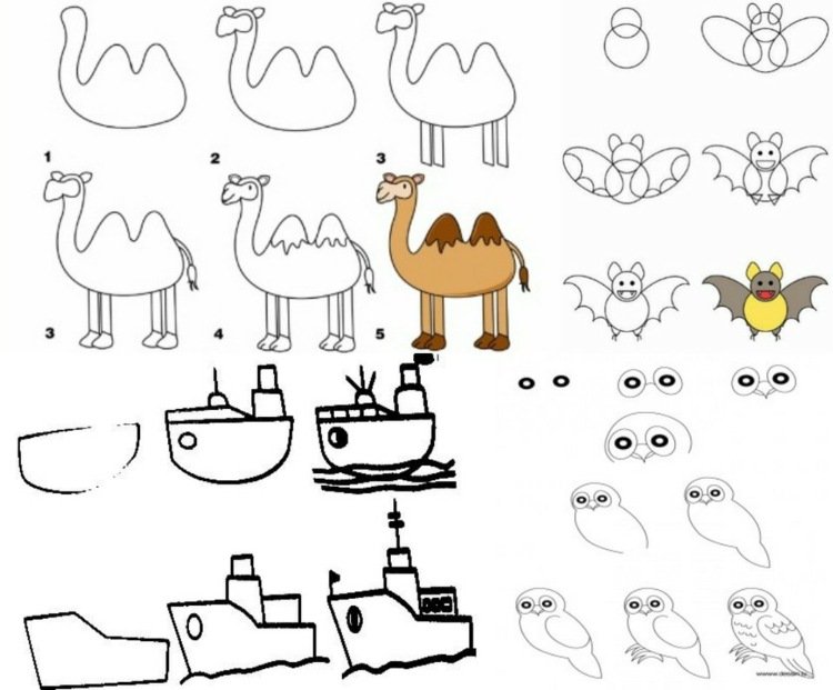 lære-at-tegne-kamel-skibe-uhu-ugle-flagermus-dyr