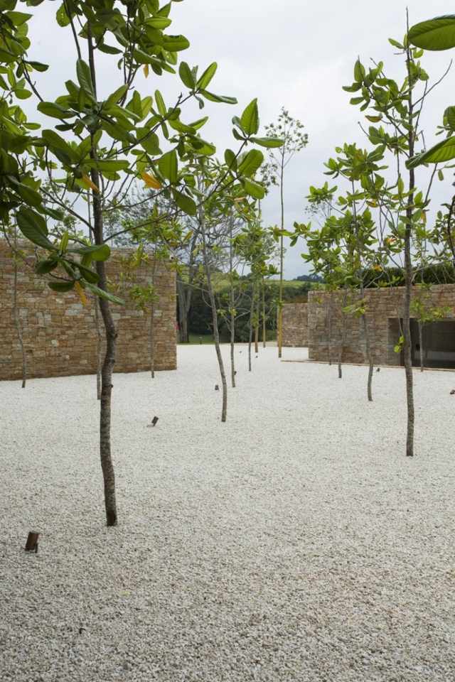 Luksus-Villa-Itatiba-have-minimalistisk-nyplantede træer